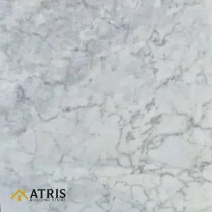 چینی الیگودرز